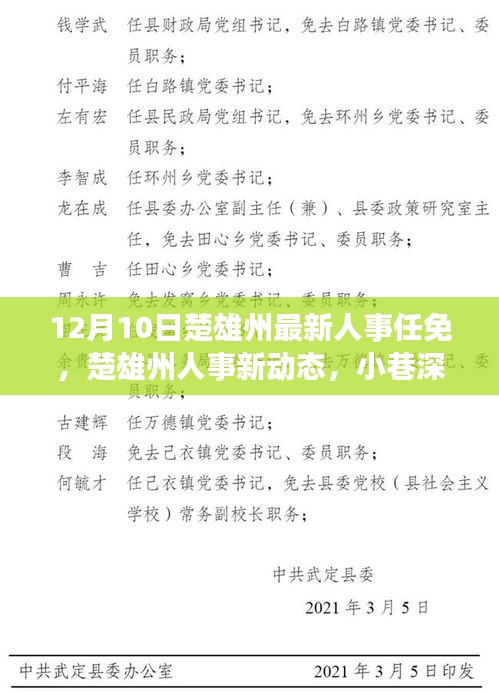 楚雄州人事任免动态及小巷美食秘境，揭秘最新人事任免背后的故事