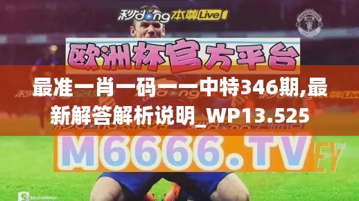 最准一肖一码一一中特346期,最新解答解析说明_WP13.525