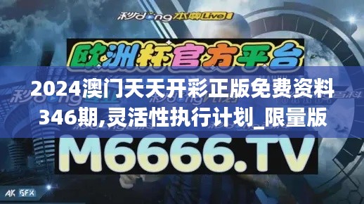 2024澳门天天开彩正版免费资料346期,灵活性执行计划_限量版10.868