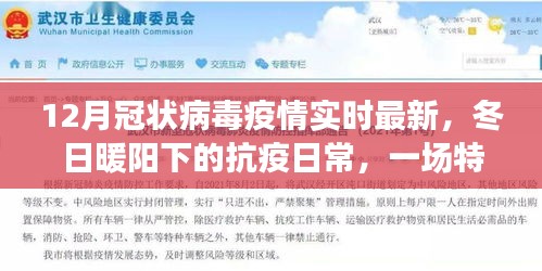 冬日暖阳下的抗疫日常，冠状病毒疫情最新进展与云聚会的温馨博弈故事