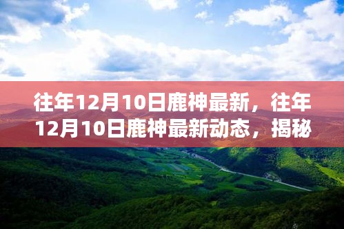 揭秘鹿神文化传承与创新，历年12月10日鹿神最新动态回顾