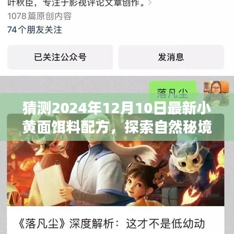 揭秘2024年最新小黄面饵料配方，探寻自然秘境的寻心之旅。