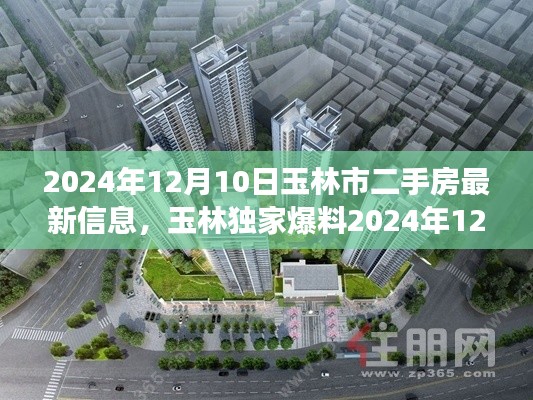 2024年玉林市二手房最新信息曝光，深度解析市场趋势，购房指南不容错过