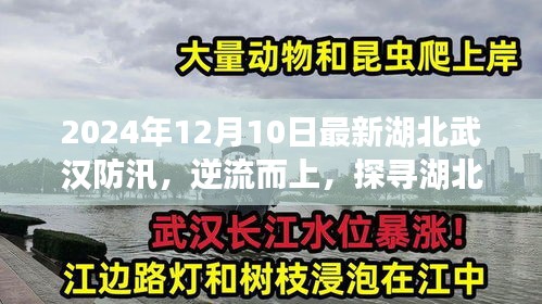 湖北武汉防汛之旅，逆流而上探寻宁静之美