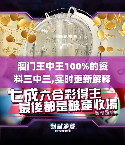 澳门王中王100%的资料三中三,实时更新解释定义_定制版1.632