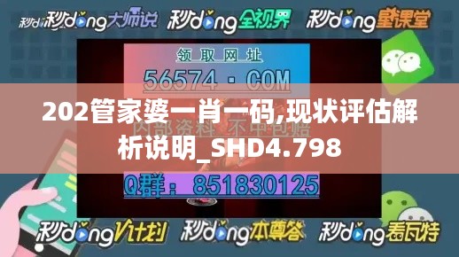 202管家婆一肖一码,现状评估解析说明_SHD4.798