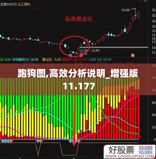 跑狗图,高效分析说明_增强版11.177