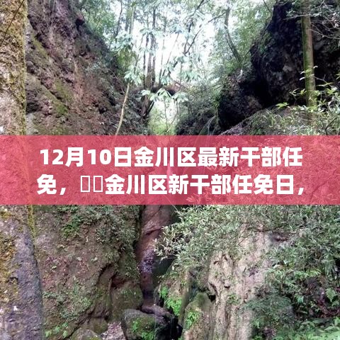 金川区新任命的干部与大自然的共舞之旅，美丽之旅启程于繁忙之中