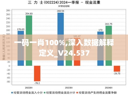 一码一肖100%,深入数据解释定义_V24.537