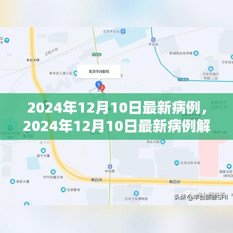 2024年12月10日最新病例解析，探索疾病新动态与应对策略