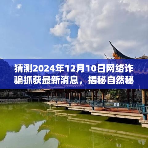 揭秘网络诈骗背后的绿色征途，探寻自然秘境，2024年抓捕行动最新进展及未来展望