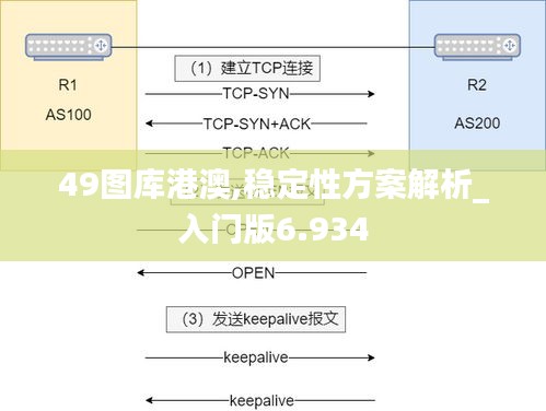 49图库港澳,稳定性方案解析_入门版6.934