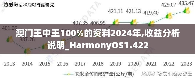 澳门王中王100%的资料2024年,收益分析说明_HarmonyOS1.422