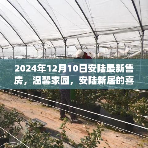 温馨家园新篇章，安陆新居喜悦之旅，2024年售房新动态