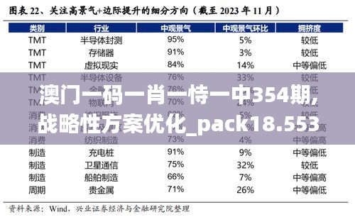 澳门一码一肖一恃一中354期,战略性方案优化_pack18.553