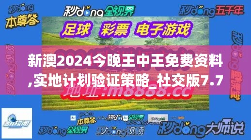 新澳2024今晚王中王免费资料,实地计划验证策略_社交版7.739