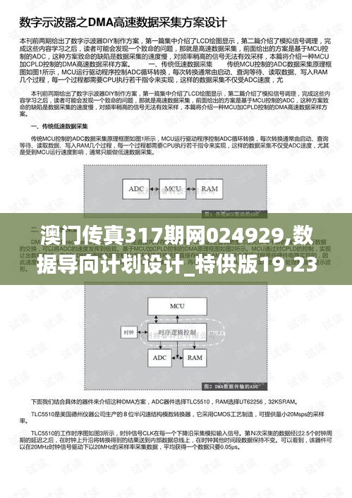 澳门传真317期网024929,数据导向计划设计_特供版19.234