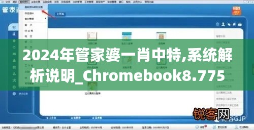 2024年管家婆一肖中特,系统解析说明_Chromebook8.775