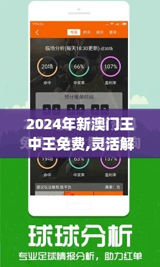 2024年新澳门王中王免费,灵活解析方案_超值版17.218