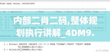 内部二肖二码,整体规划执行讲解_4DM9.981