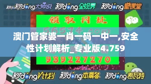 澳门管家婆一肖一码一中一,安全性计划解析_专业版4.759