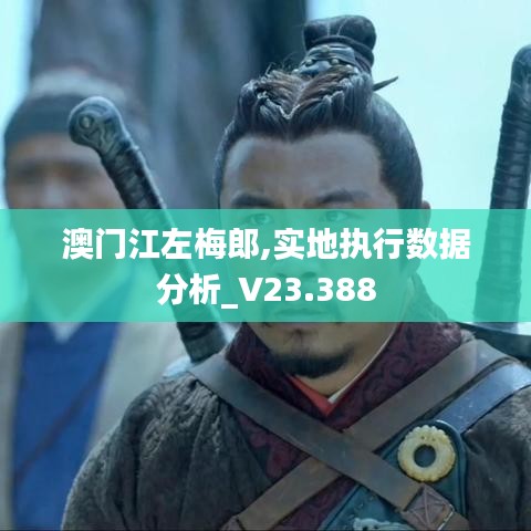 澳门江左梅郎,实地执行数据分析_V23.388