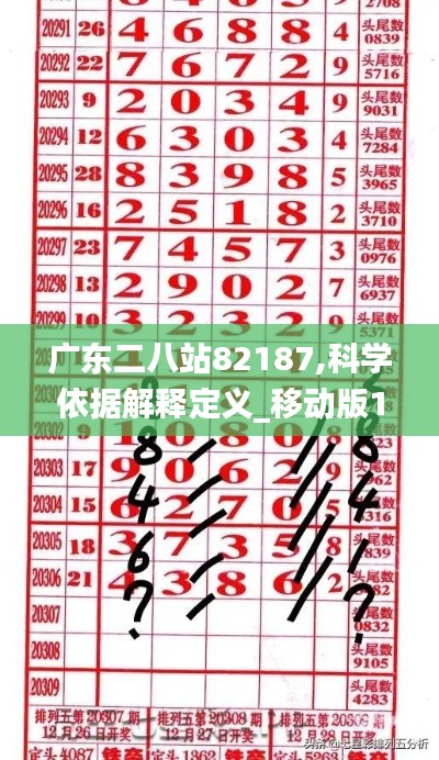 广东二八站82187,科学依据解释定义_移动版12.886