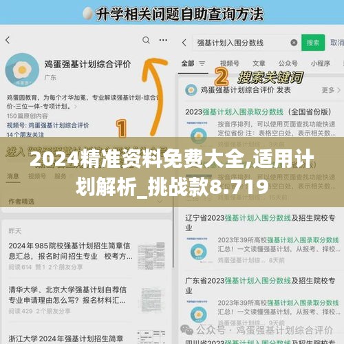 2024精准资料免费大全,适用计划解析_挑战款8.719