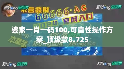 婆家一肖一码100,可靠性操作方案_顶级款8.725