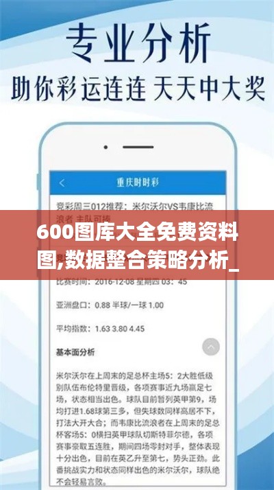 600图库大全免费资料图,数据整合策略分析_户外版2.261