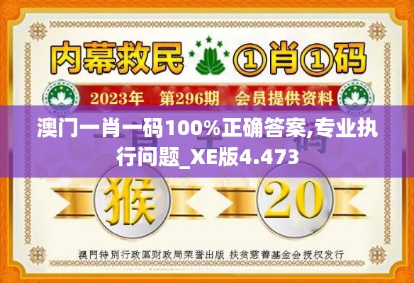 澳门一肖一码100%正确答案,专业执行问题_XE版4.473