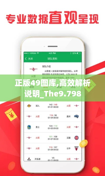 正版49图库,高效解析说明_The9.798