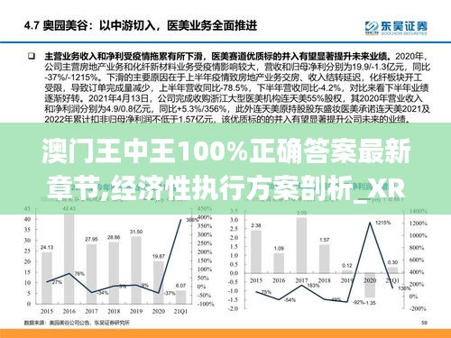 澳门王中王100%正确答案最新章节,经济性执行方案剖析_XR7.252