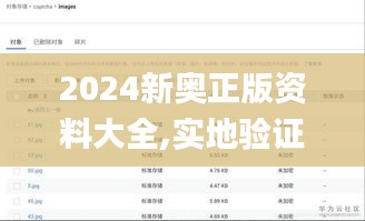 2024新奥正版资料大全,实地验证数据应用_uShop2.207