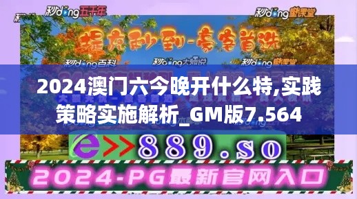 2024澳门六今晚开什么特,实践策略实施解析_GM版7.564