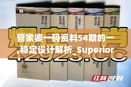 管家婆一码资料54期的一,稳定设计解析_Superior9.104