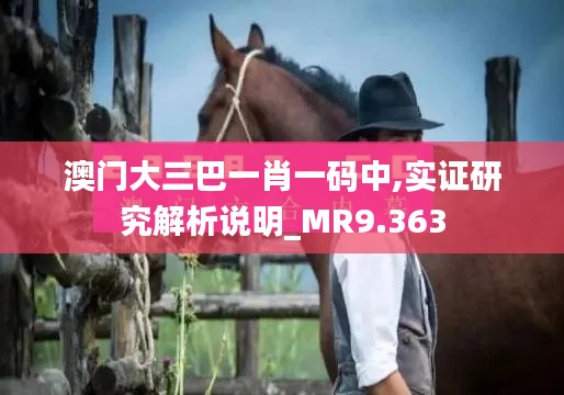 澳门大三巴一肖一码中,实证研究解析说明_MR9.363