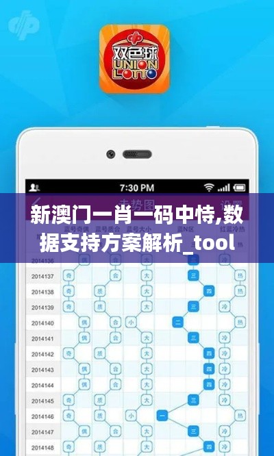 新澳门一肖一码中恃,数据支持方案解析_tool9.538