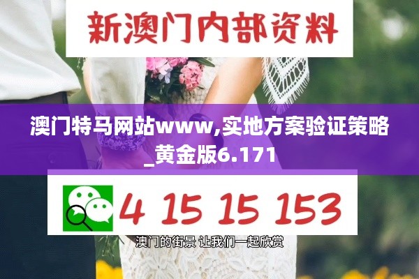 澳门特马网站www,实地方案验证策略_黄金版6.171