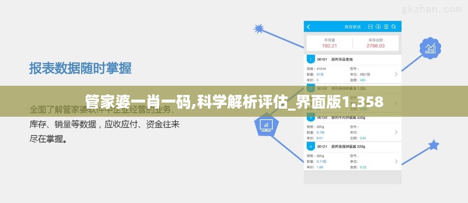 管家婆一肖一码,科学解析评估_界面版1.358