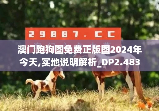 澳门跑狗图免费正版图2024年今天,实地说明解析_DP2.483