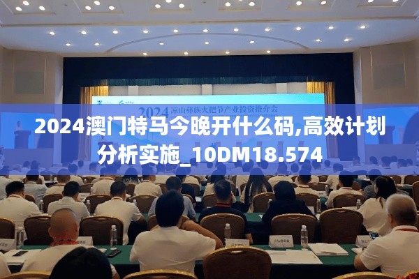 2024澳门特马今晚开什么码,高效计划分析实施_10DM18.574