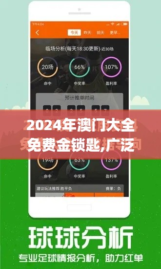 2024年澳门大全免费金锁匙,广泛解析方法评估_复刻版19.268