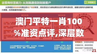 澳门平特一肖100%准资点评,深层数据计划实施_标配版8.293