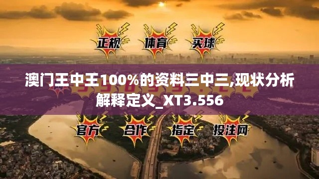 澳门王中王100%的资料三中三,现状分析解释定义_XT3.556