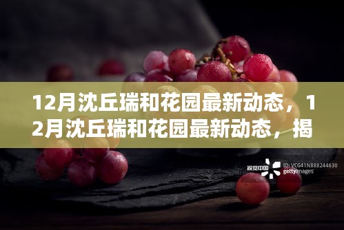 揭秘未来生活篇章，沈丘瑞和花园最新动态揭晓