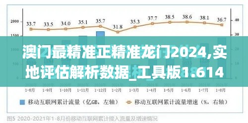 澳门最精准正精准龙门2024,实地评估解析数据_工具版1.614