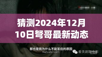 弩哥未来动向猜想，展望2024年12月10日的最新动态