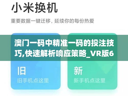 澳门一码中精准一码的投注技巧,快速解析响应策略_VR版6.238