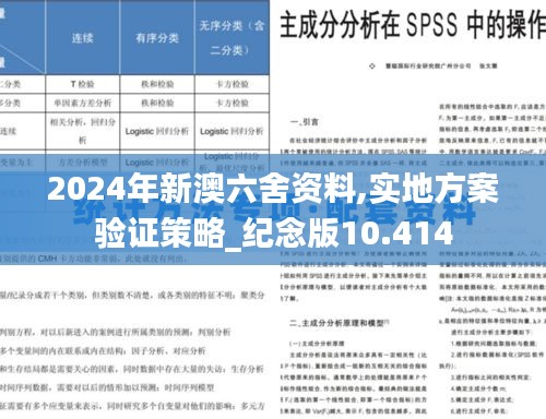 2024年新澳六舍资料,实地方案验证策略_纪念版10.414